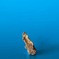Nugget 1