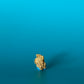 Nugget 3