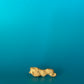 Nugget 6